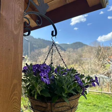 빌라 падалото