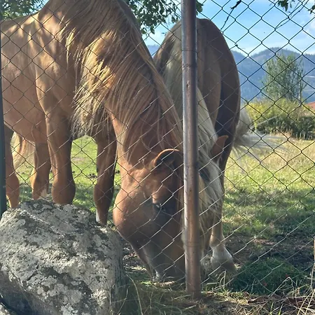 падалото Луксозна вила *