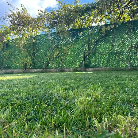 падалото Smolyan