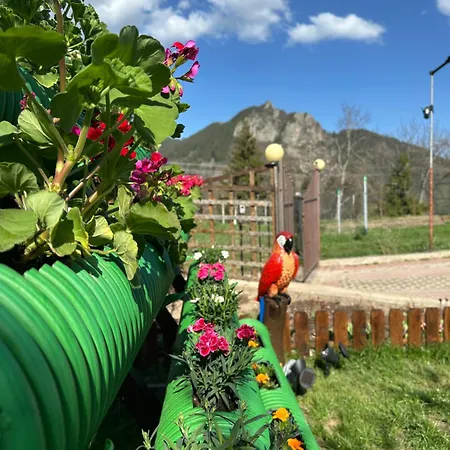 падалото * Smolyan