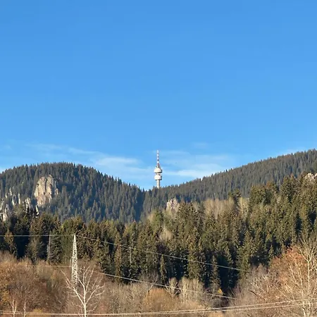 Vilă падалото *