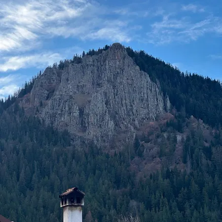 Villa падалото