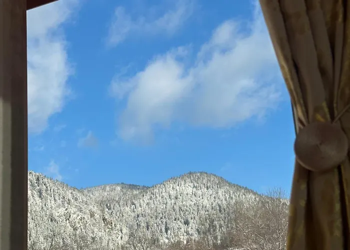 Villa падалото