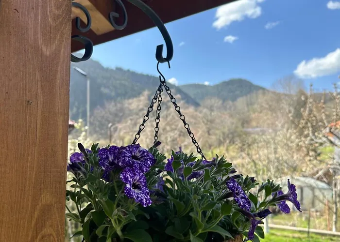 Villa падалото