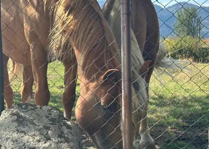 падалото Villa *